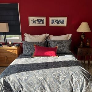 Pottery Barn duvet cover and standard shams (F/Q)